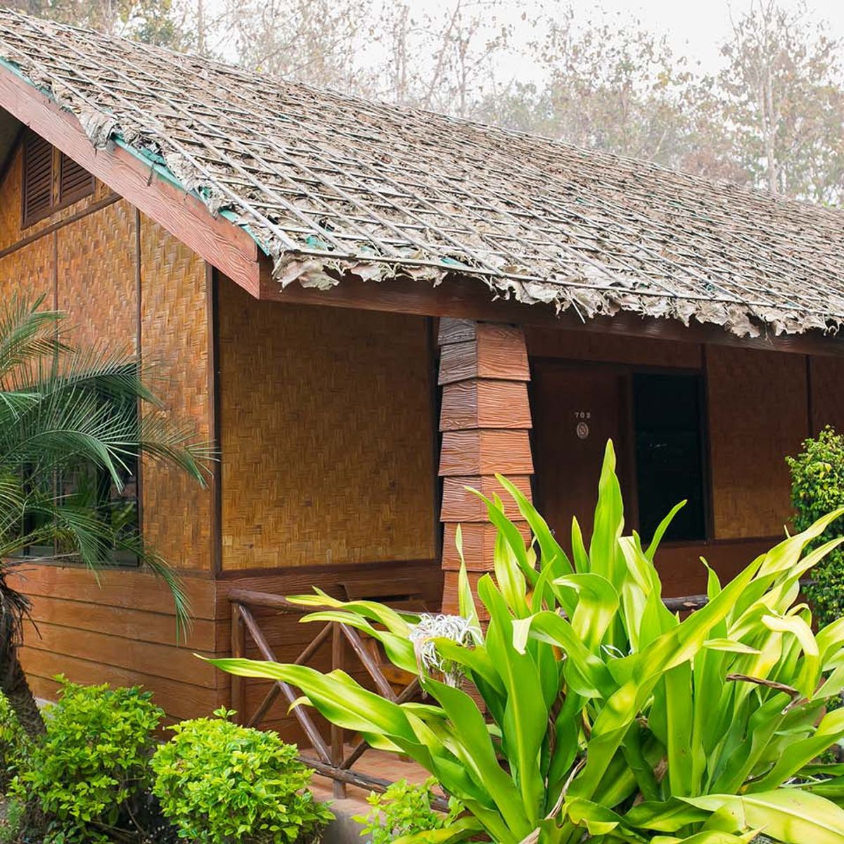 Cooking, Trekking, Elephant Caring and Learning about Karen Culture (3 Days 2 Nights)