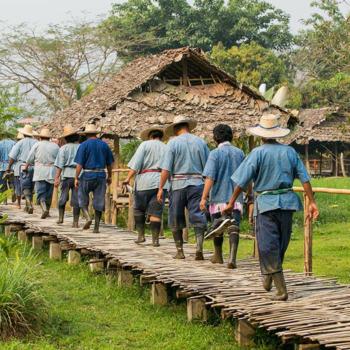 Cooking, Trekking, Elephant Caring and Learning about Karen Culture (3 Days 2 Nights)