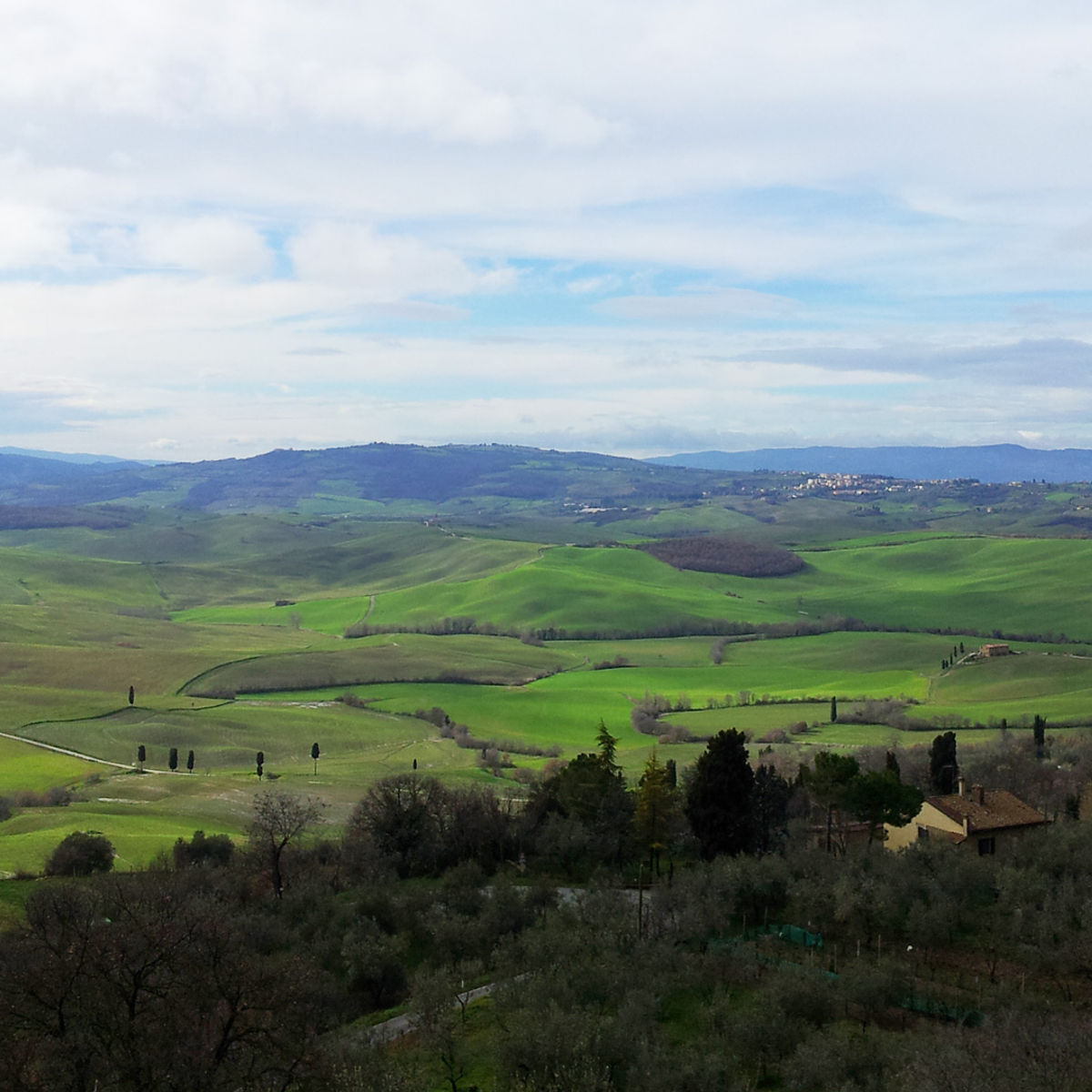 Truffle Hunting in the Woods of Valdichiana Senese