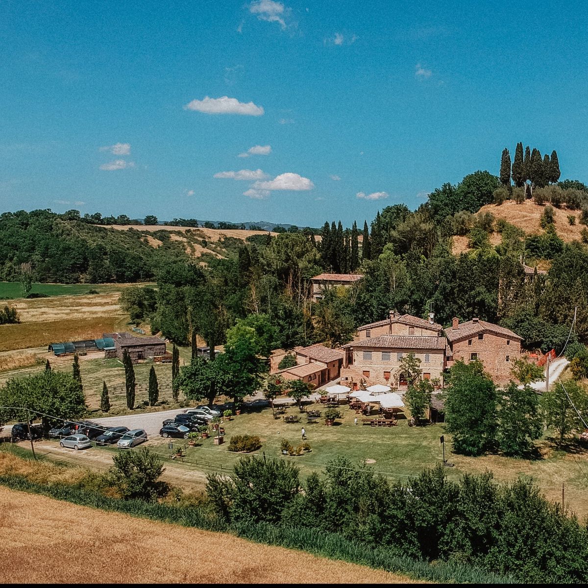 Fattoria Le Pietre Vive
