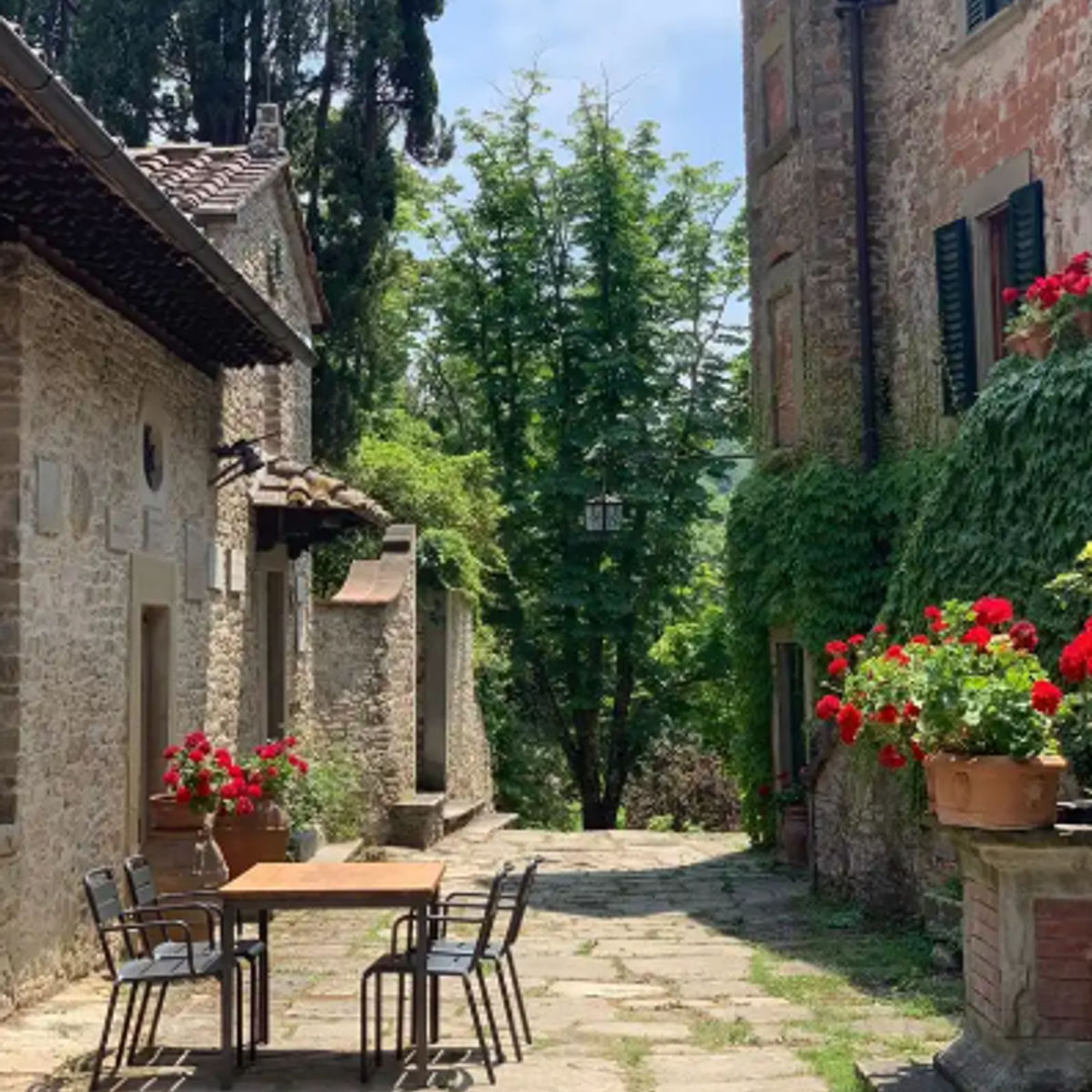 Chasse aux truffes et dégustation : un voyage sensoriel à travers la Toscane