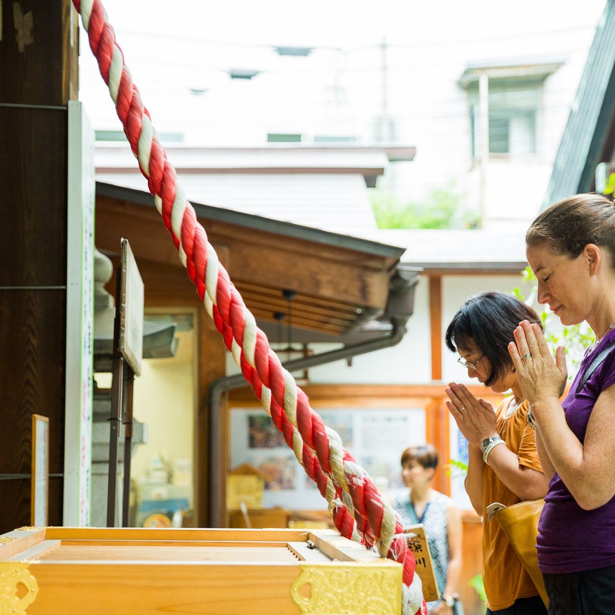 Tsukiji Fish Market Walking Tour with Delicious Food and Sake Tasting