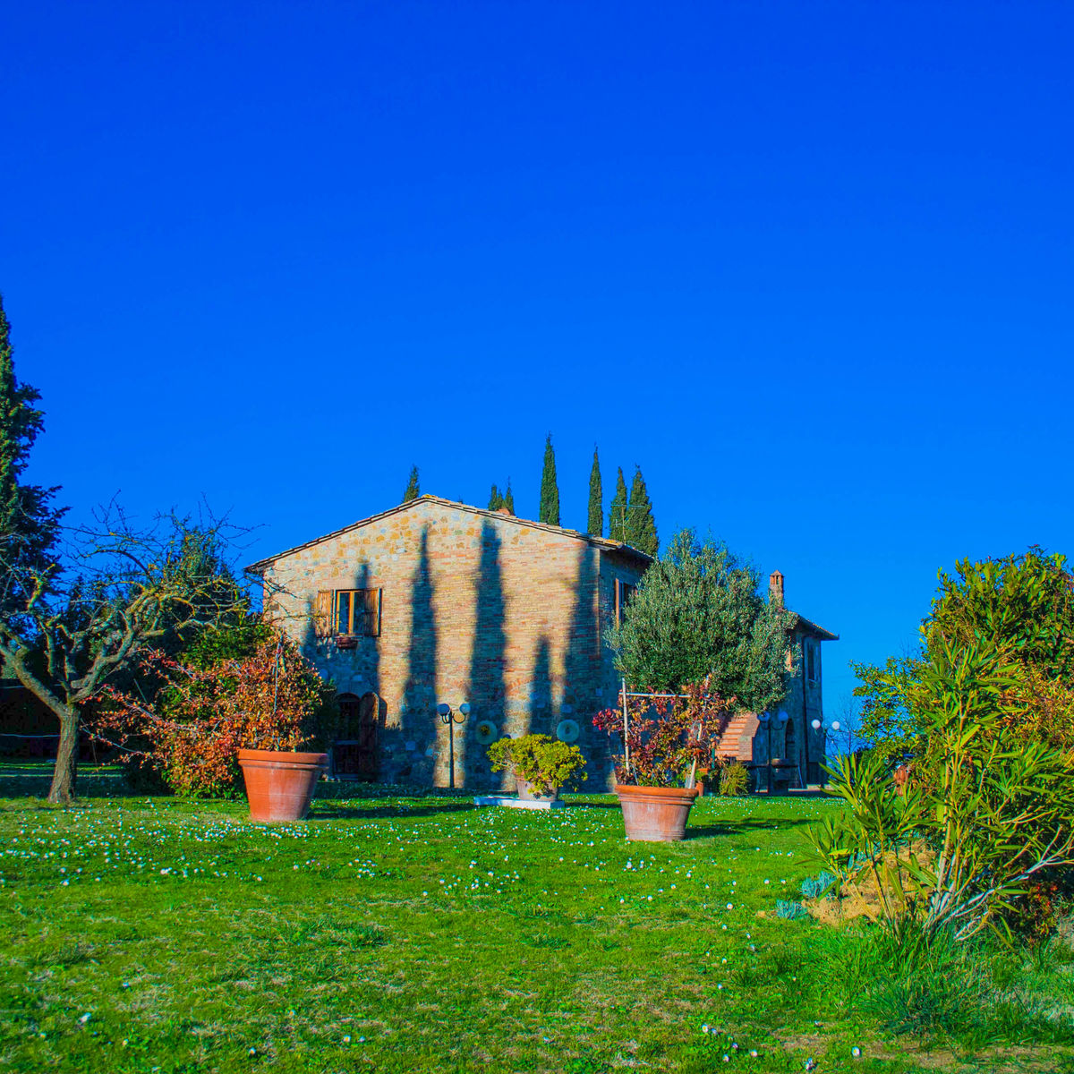 A True Tuscan Experience: Pasta Making and Lunch in n a 17th Century Farmhouse