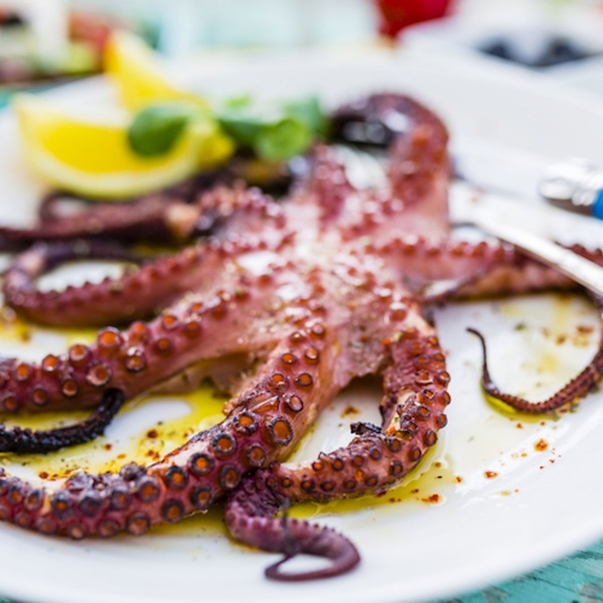 Tuscan Italian Cooking in Gragnano