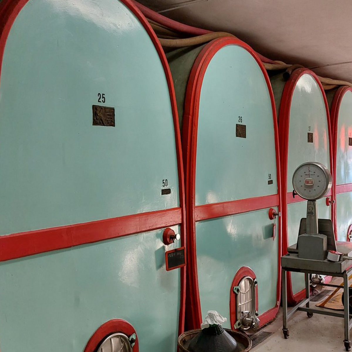 Master Tuscan Wine Experience: From Vineyard Walk to Guided Tasting
