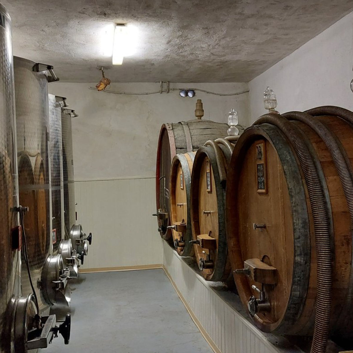 Master Tuscan Wine Experience: From Vineyard Walk to Guided Tasting