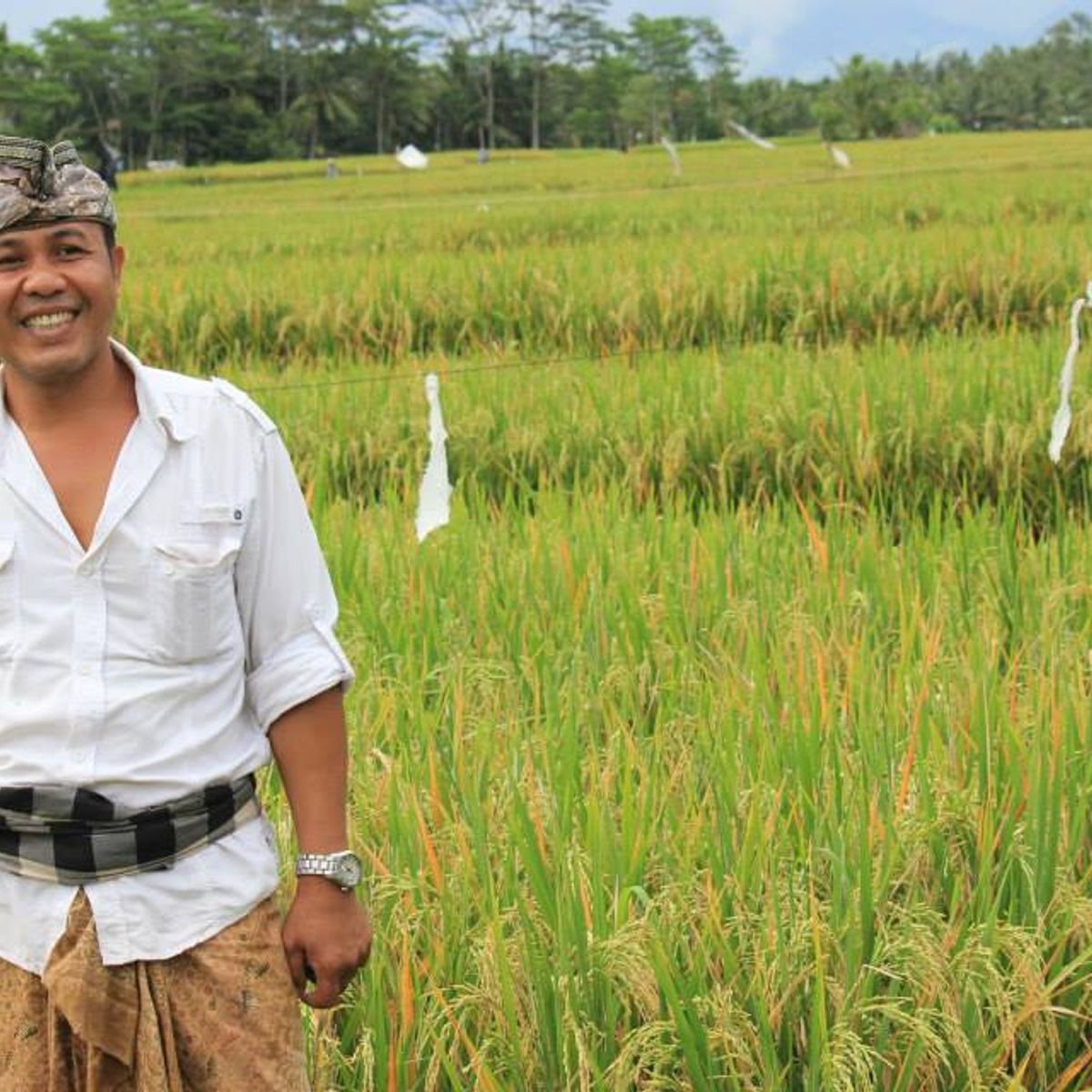 Half-Day Balinese Culinary Experience in Ubud