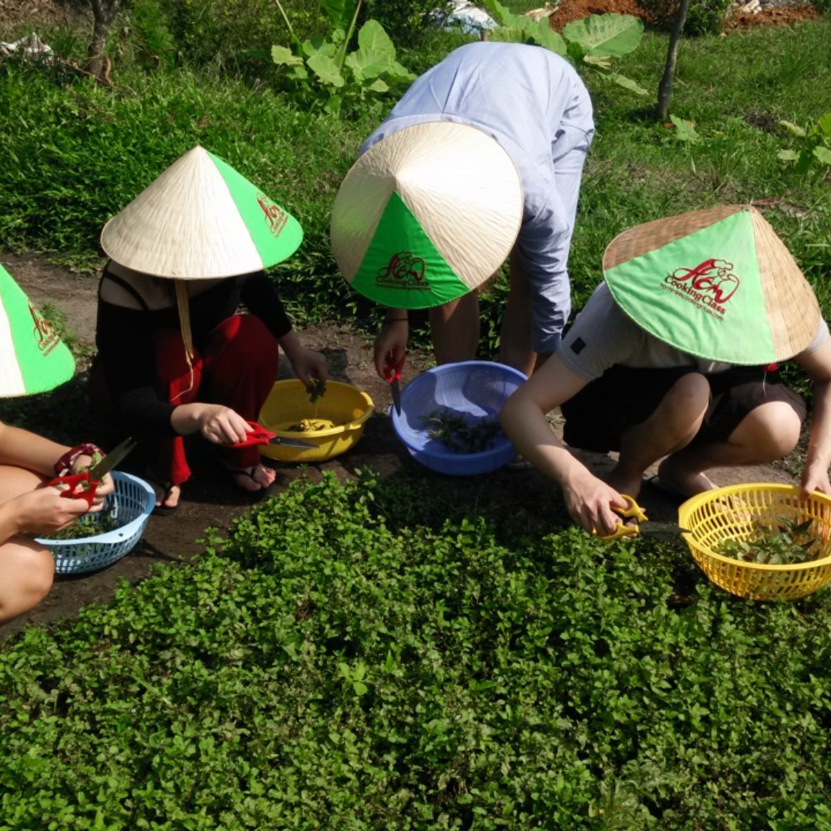 Unique Full Day Healthy Cooking Class in the Farm