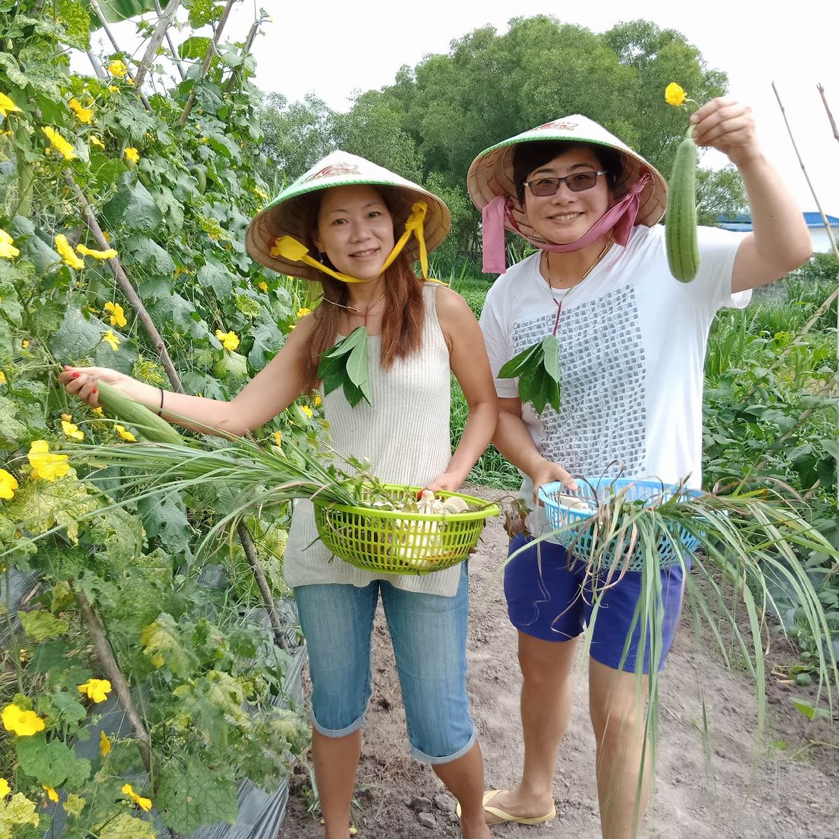 Unique Full Day Healthy Cooking Class in the Farm