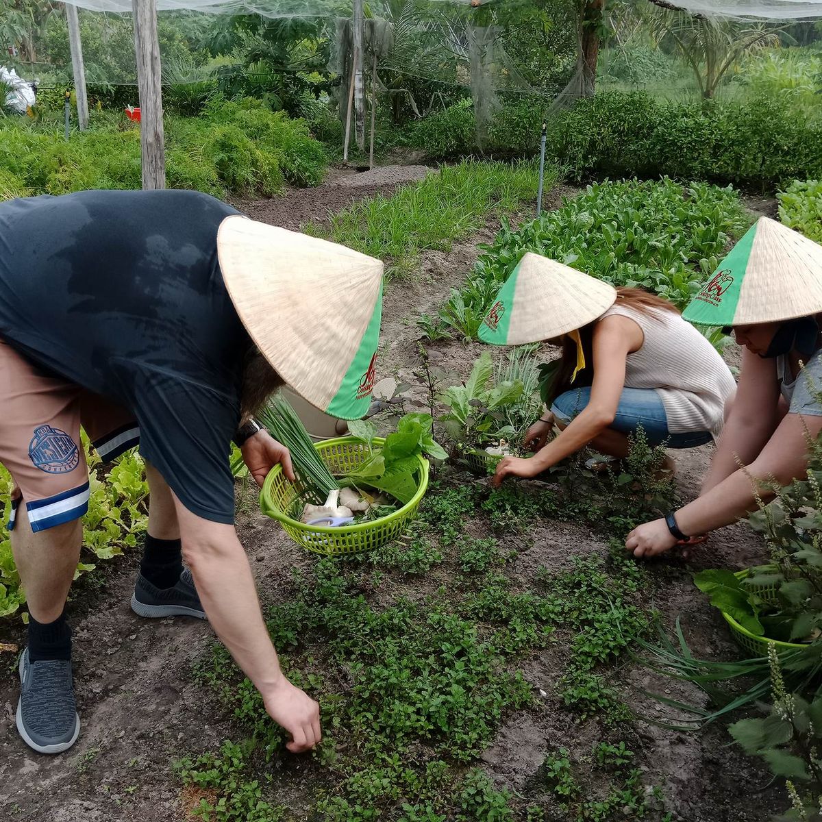 Unique Full Day Healthy Cooking Class in the Farm