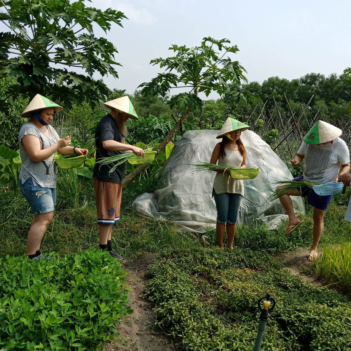 Unique Full Day Healthy Cooking Class in the Farm