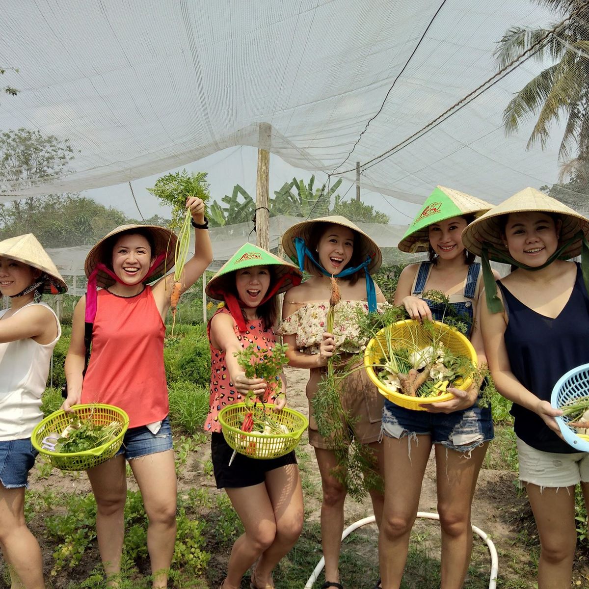 Unique Full Day Healthy Cooking Class in the Farm
