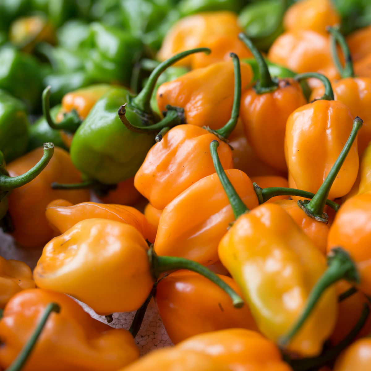 Depths of the Yucatan: Valladolid Market Tour & Street Food + Cenote + Cooking Class (Transportation Included)