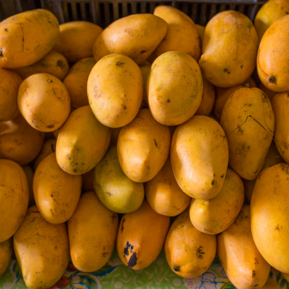 Depths of the Yucatan: Valladolid Market Tour & Street Food + Cenote + Cooking Class (Transportation Included)