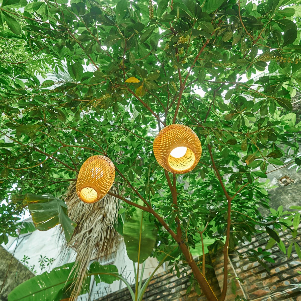 Veganer Kochkurs in Villa + Pagodenbesuch