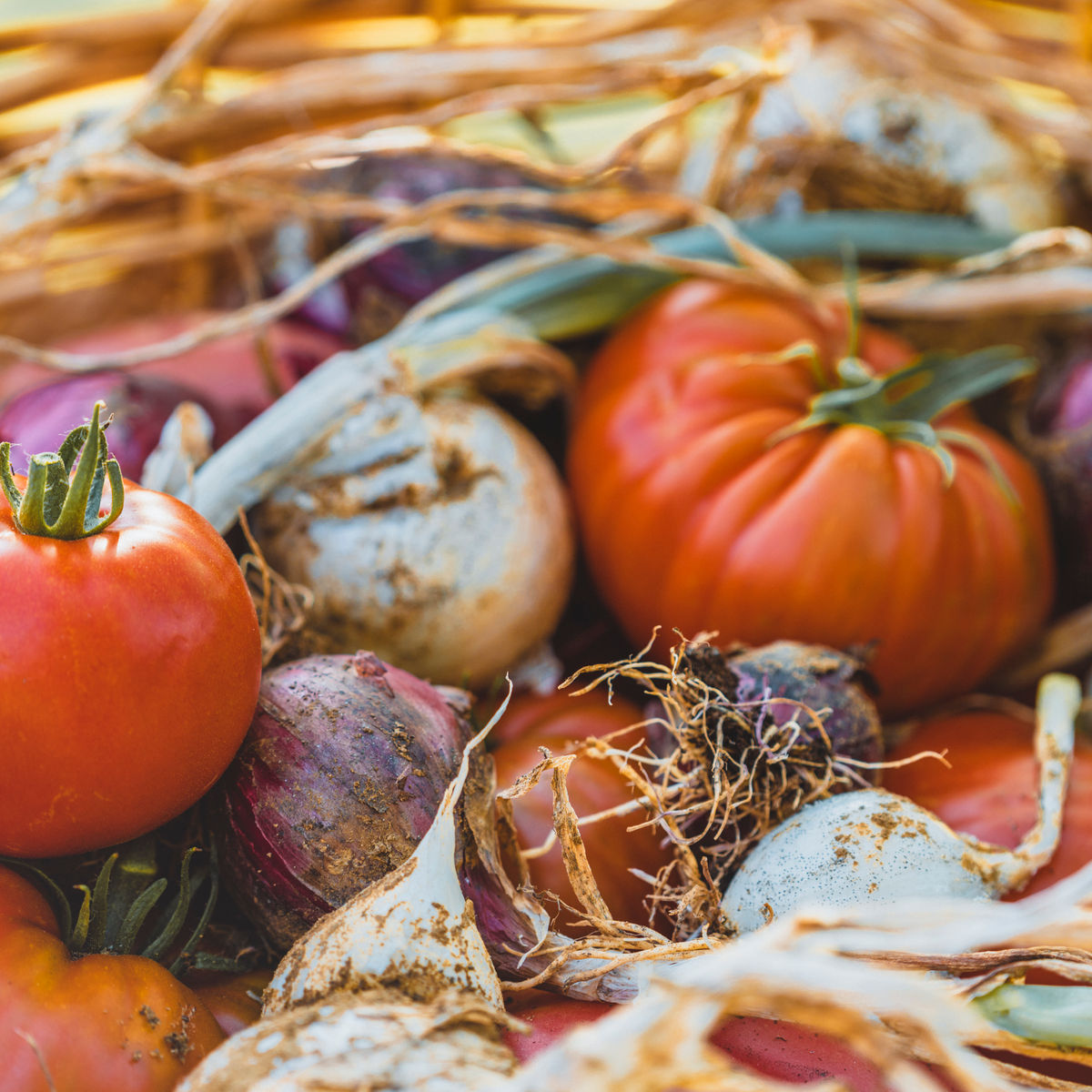 Vegan cooking class in Valdichiana Senese