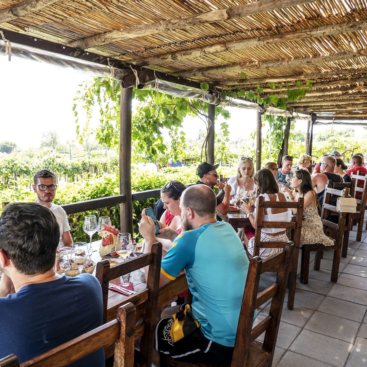 Geführte Tour zum Vesuv mit Weinprobe und Mahlzeit