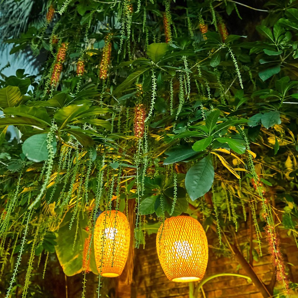 跟著 Rose Kitchen 學做香味俱全越南菜