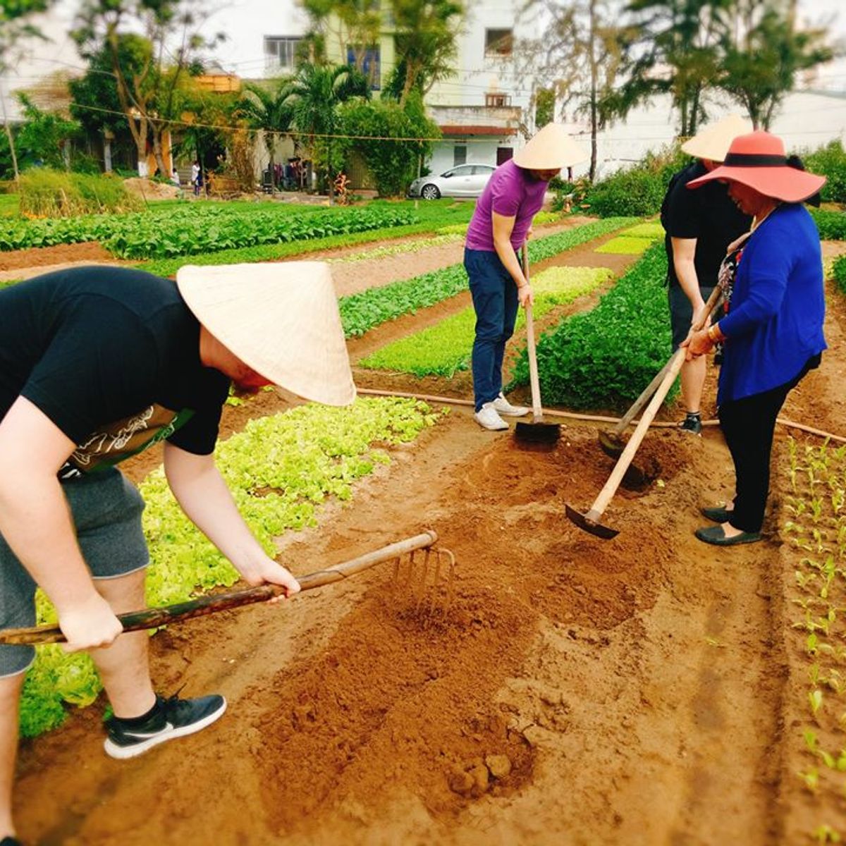 Vietnamese Home Cooking Class with Market Tour, Coffee Tasting, and Farming Experience