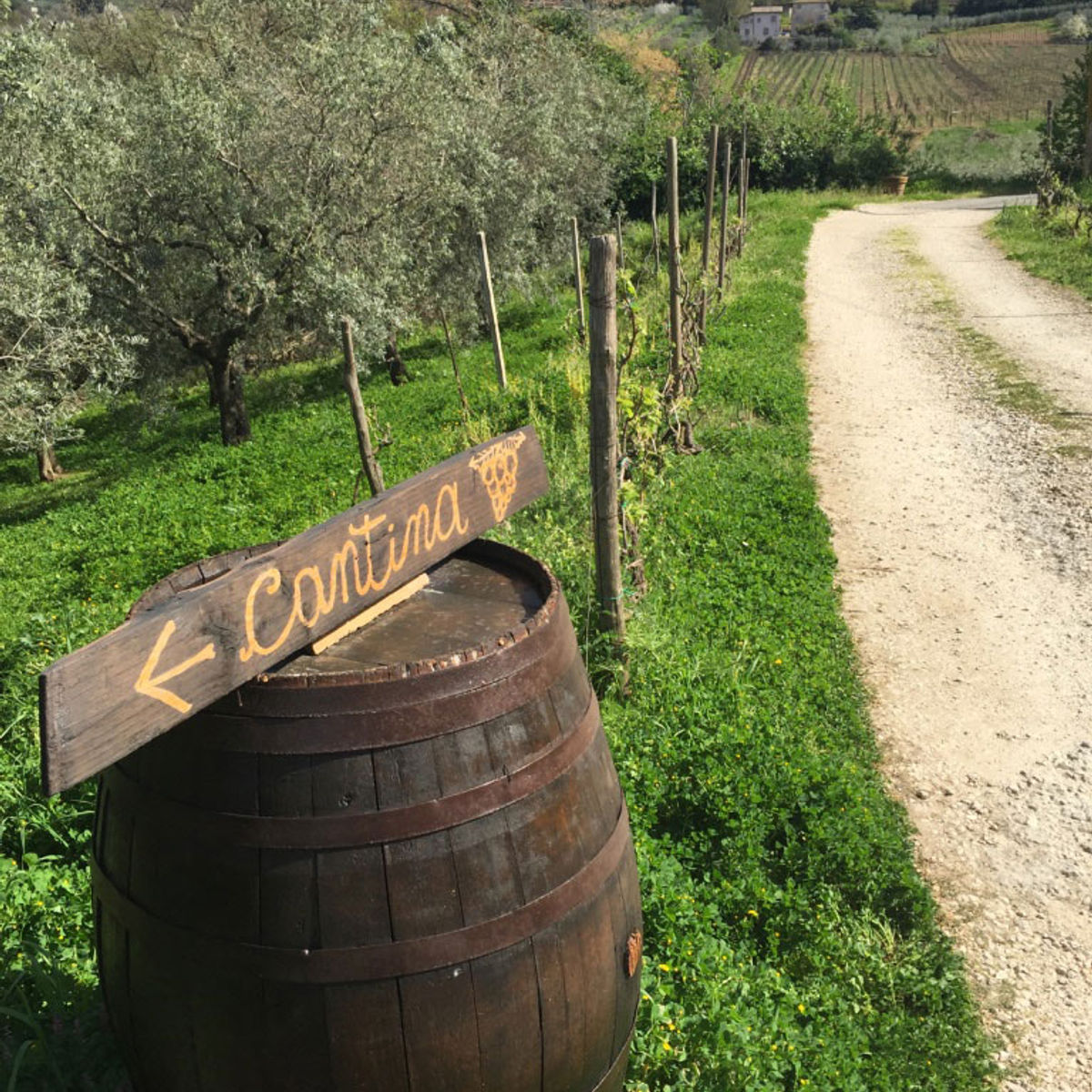 Pizza Making Class with Winery Tour & Tasting: Roman Adventure