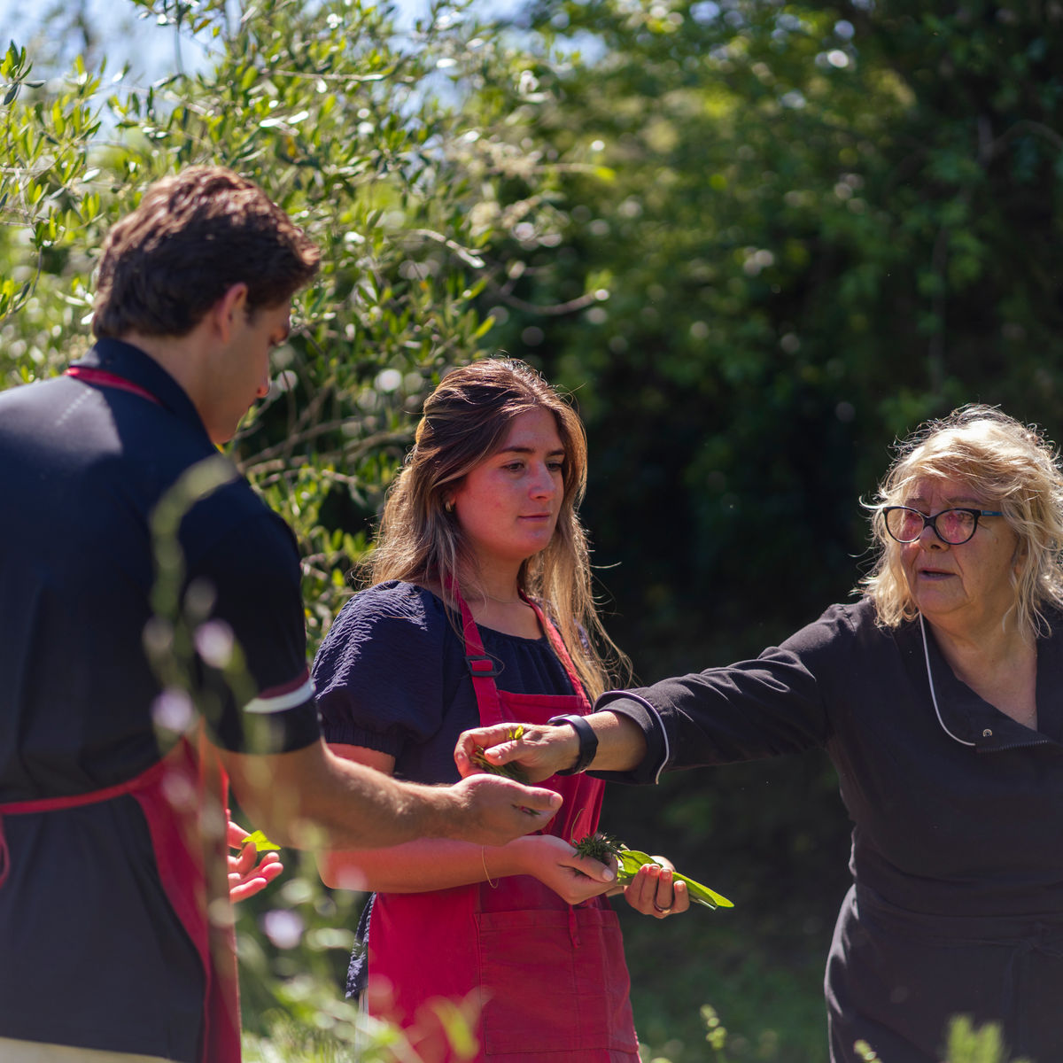 Cours de pâtes aux herbes sauvages et dégustation de vins maison dans la campagne romaine