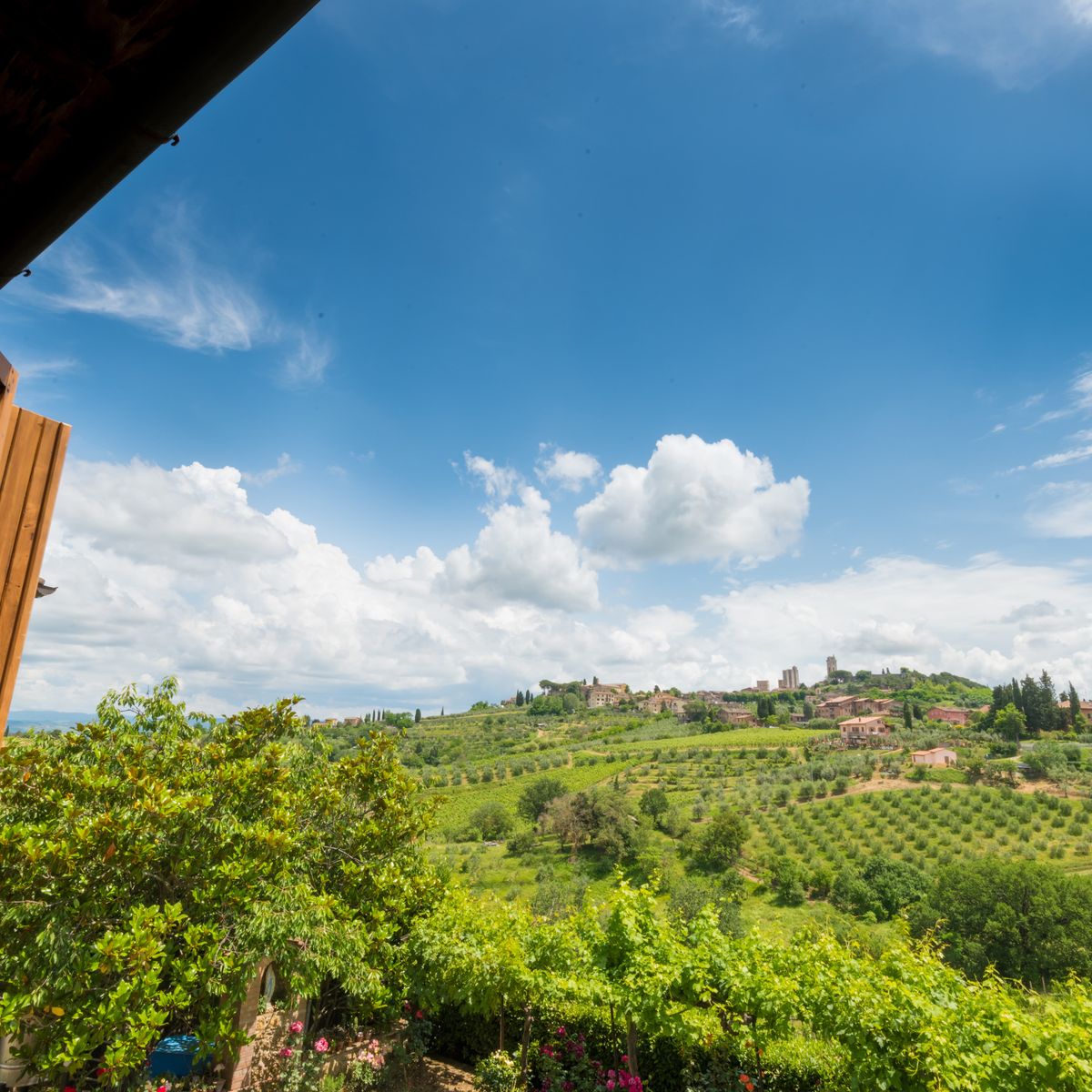 Wine, Virgin Olive Oil, and Cheese Tasting in San Gimignano