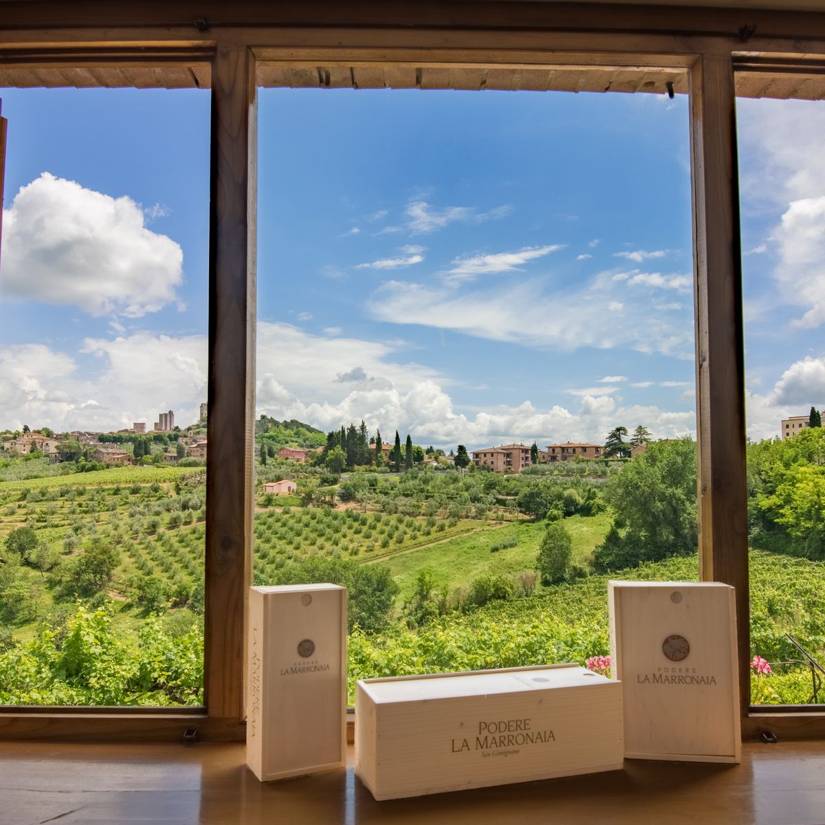 Wine, Virgin Olive Oil, and Cheese Tasting in San Gimignano