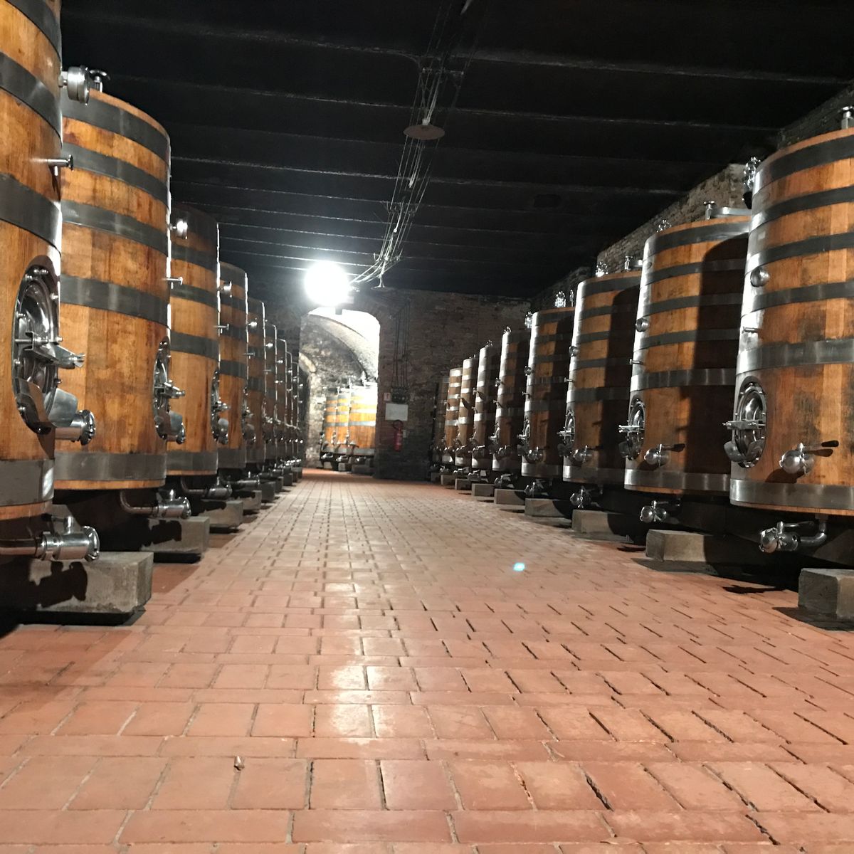 Wine Tasting San Casciano dei Bagni in Val d'Orcia with Local Food specialities