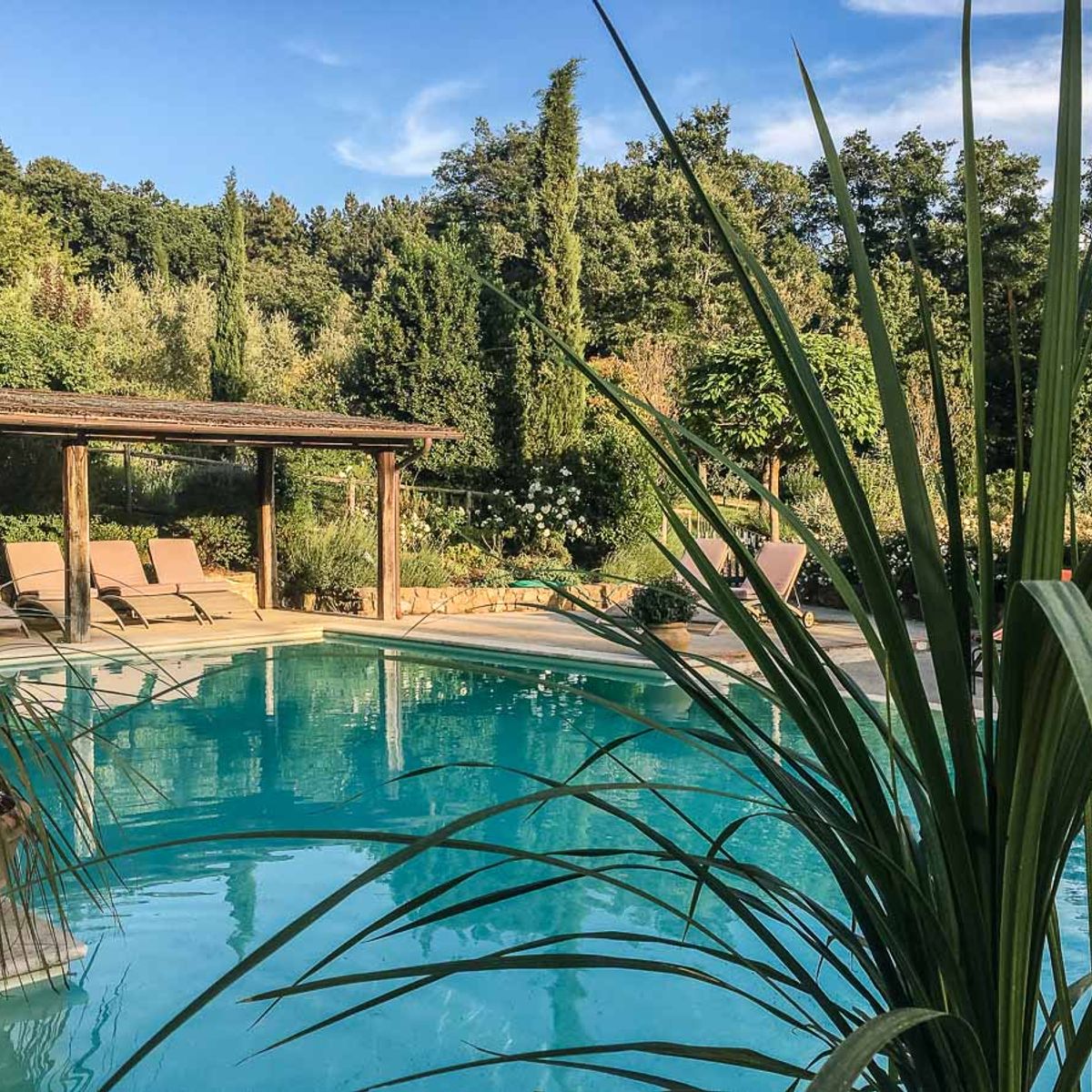 Wine Tasting San Casciano dei Bagni in Val d'Orcia with Local Food specialities