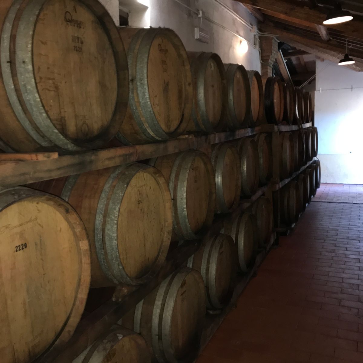 Wine Tasting San Casciano dei Bagni in Val d'Orcia with Local Food specialities