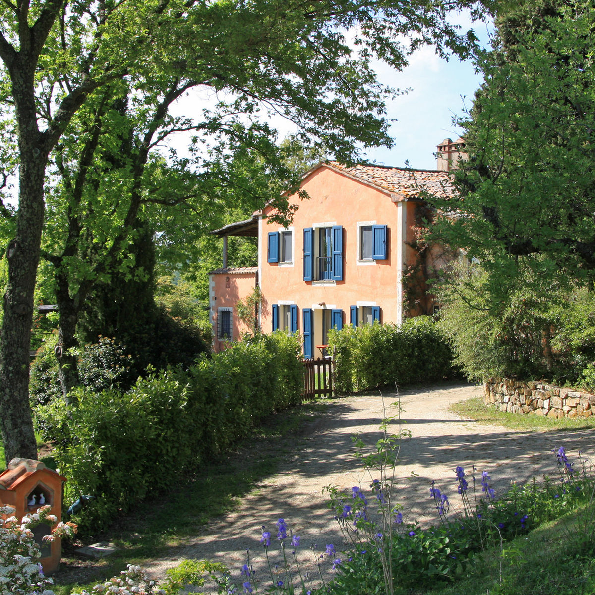 Wine Tasting San Casciano dei Bagni in Val d'Orcia with Local Food specialities