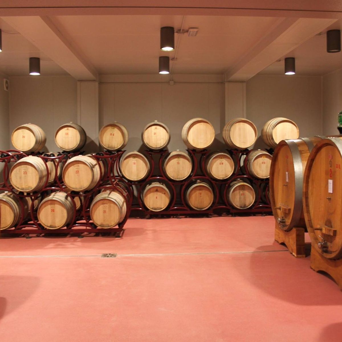 Winery Tour and Classic Wine Tasting at Sesta di Sopra in Montalcino