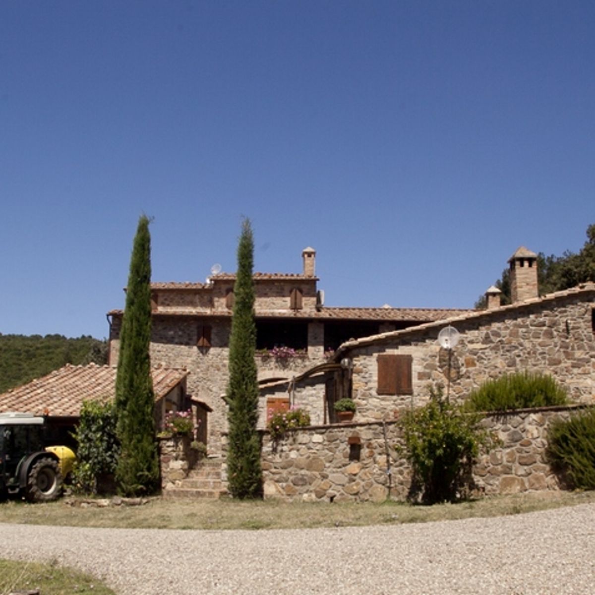 Winery Tour and Classic Wine Tasting at Sesta di Sopra in Montalcino