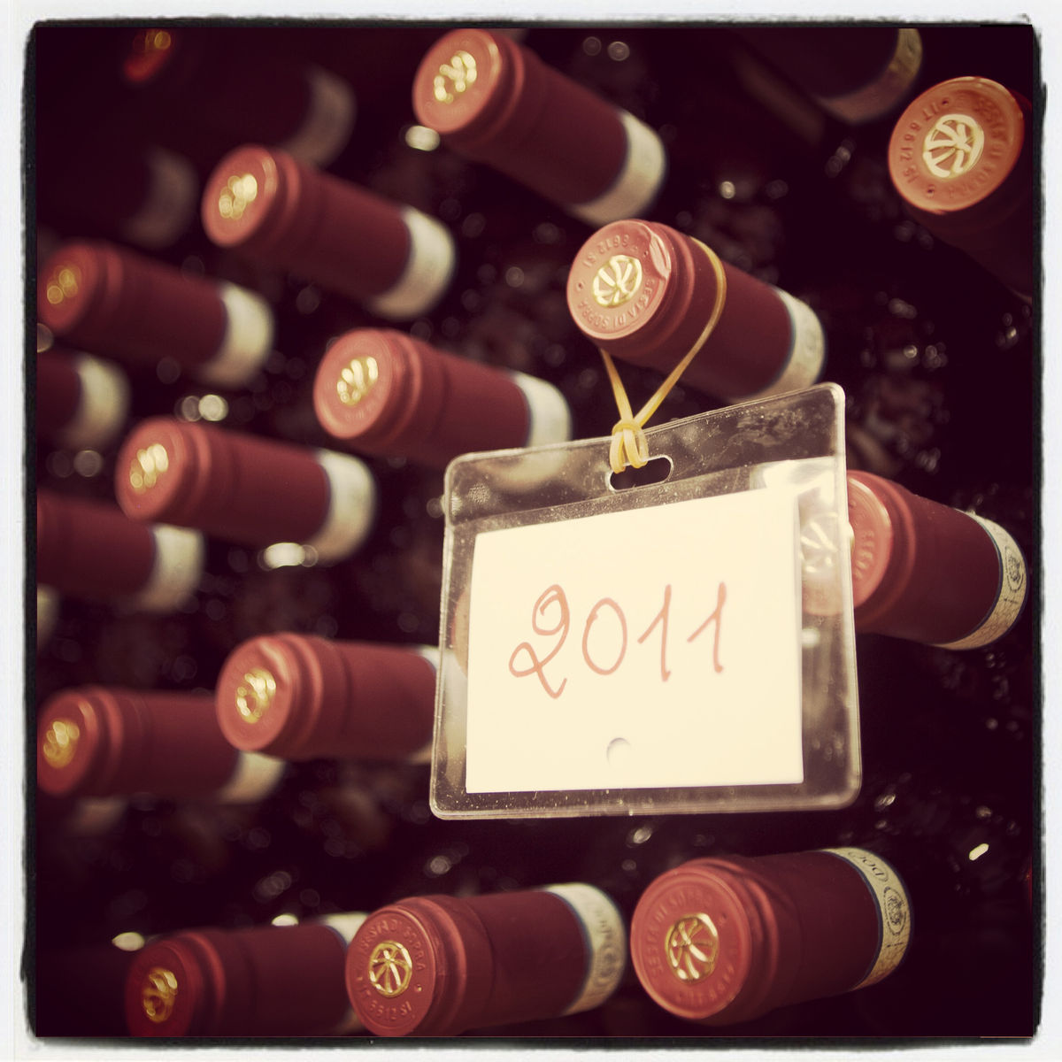 Winery Tour and Classic Wine Tasting at Sesta di Sopra in Montalcino