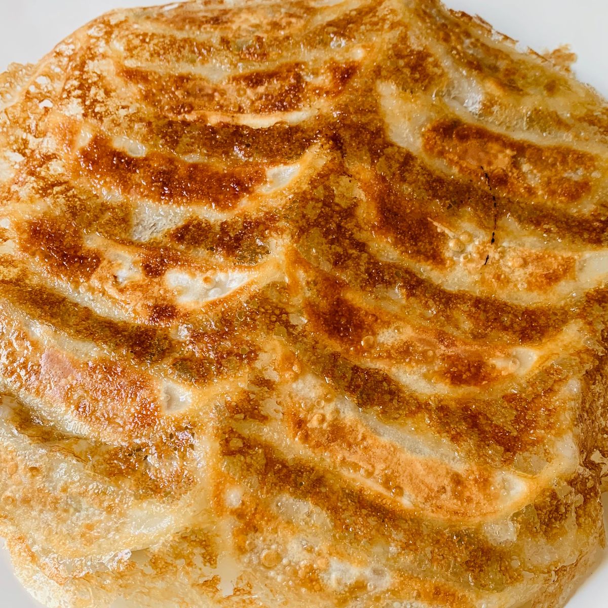 The Art of Yakisoba and Gyoza Culinary Class in Nagoya