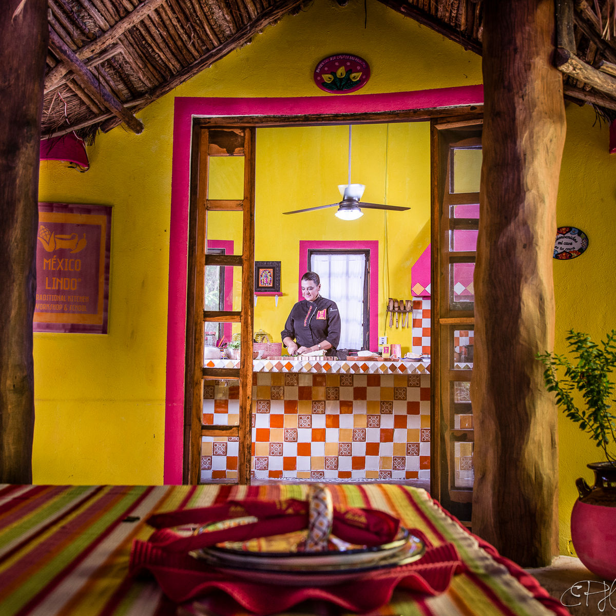 Yucatan Delights in Puerto Morelos