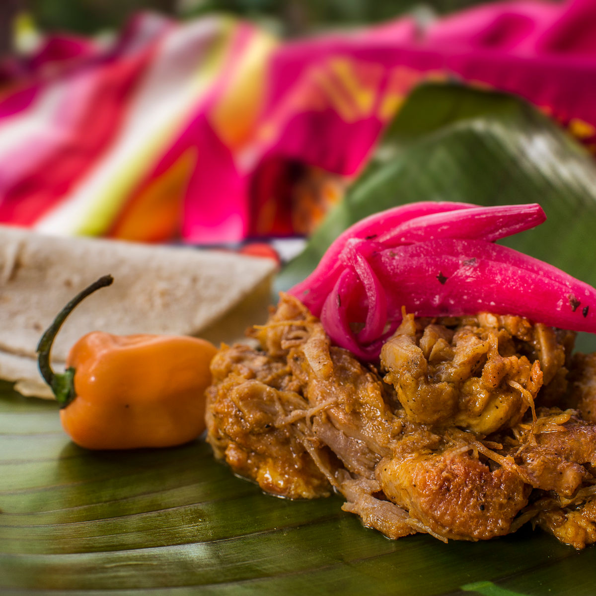Yucatan Delights in Puerto Morelos