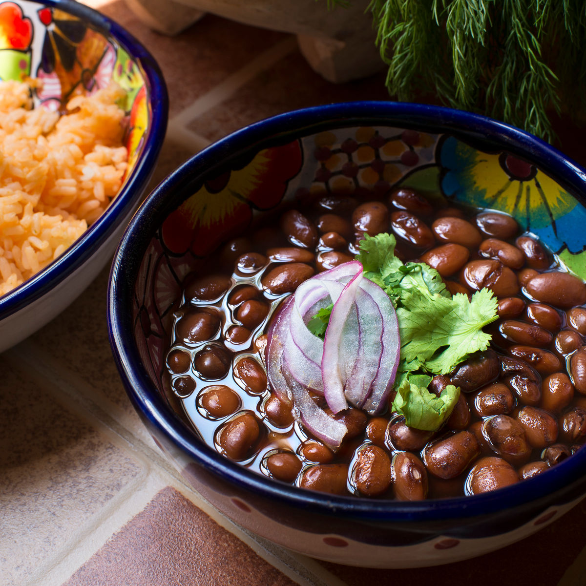 Yucatan Delights in Puerto Morelos