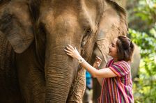 Campo estivo per la cura degli elefanti e corso di cucina a Si-Ray Phuket