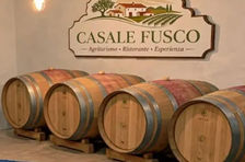 5-Day Cooking, Truffle Hunting & Wine Tasting Experience in Spoleto