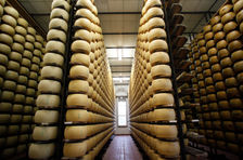 Tur Terpandu untuk Menikmati Cicipan Parmigiano Reggiano Terbaik