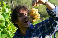 Biodynamic Wines & Organic Feast: Uncork Nature's Bounty at Stunning Vineyard