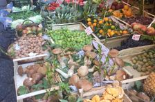 Antignano Local Market Tour with Giorgia Chiatto