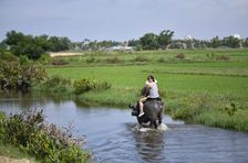 Transfert gratuit depuis Da Nang : balade en barque traditionnelle, promenade à dos de buffle et cours de cuisine