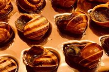 L'expérience de la visite gastronomique à pied de Montmartre par le chef PJ