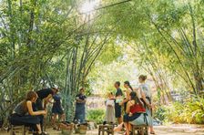 Adventurous Cooking Class on Bamboo Forest Island