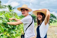 Koche mit frischen Zutaten auf einer Bio-Farm mit Marktbesuch