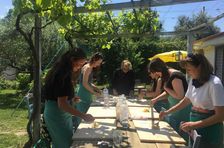 Cooking With Wild Herbs In The Countryside of Rome