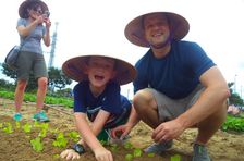 Corso di cucina casalinga vietnamita con visita al mercato, degustazione di caffè ed esperienza in fattoria.