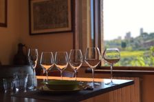 Esensi Toskana – Pencicipan Anggur dan Minyak Zaitun Murni di San Gimignano